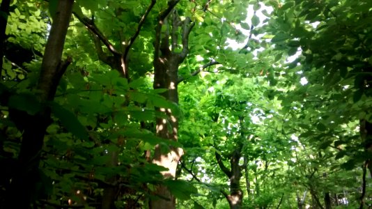 IMG_20160520_064248589 