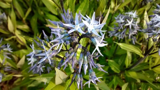 IMG_20160520_063947164 