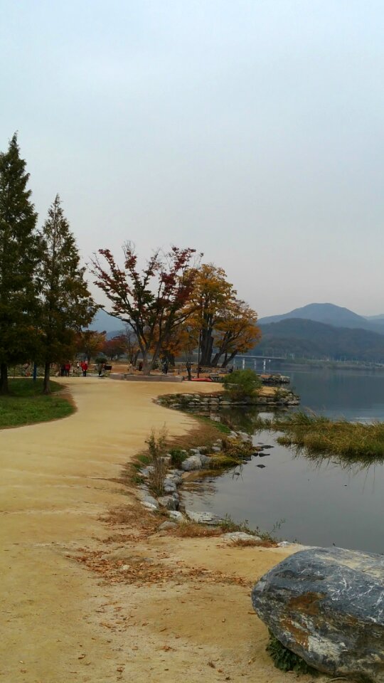 Landscape wood scenery