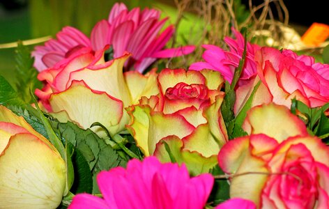 Roses pink vase photo