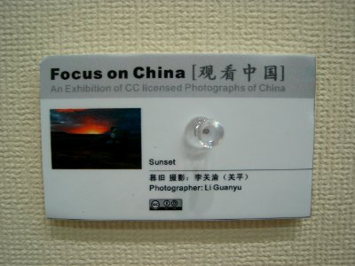 dsc03726.jpg 