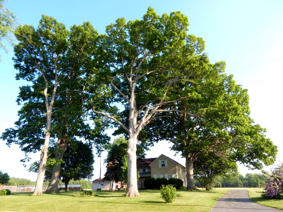 DSCN1985 