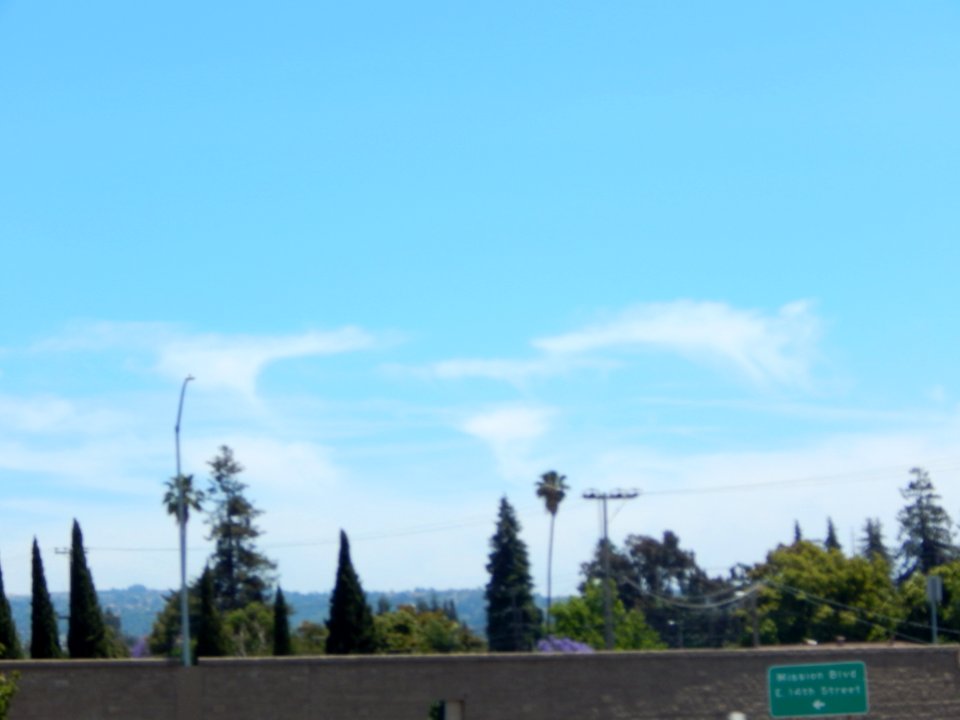 DSCN2029 