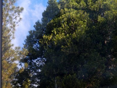DSCN2086 