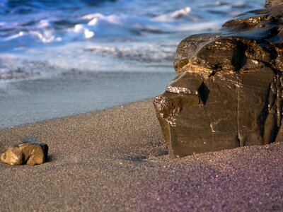 Beach dog rock texture photo