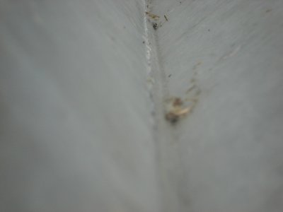 dsc03784.jpg 