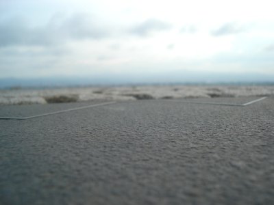 dsc03800.jpg 