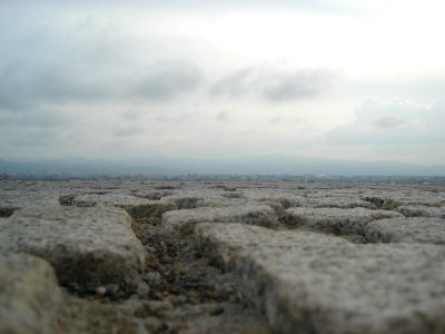 dsc03798.jpg 