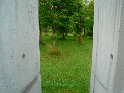 dsc03855.jpg 