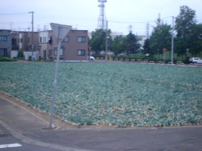 dsc03895.jpg 