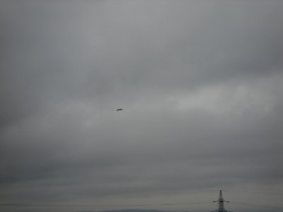 dsc03876.jpg 