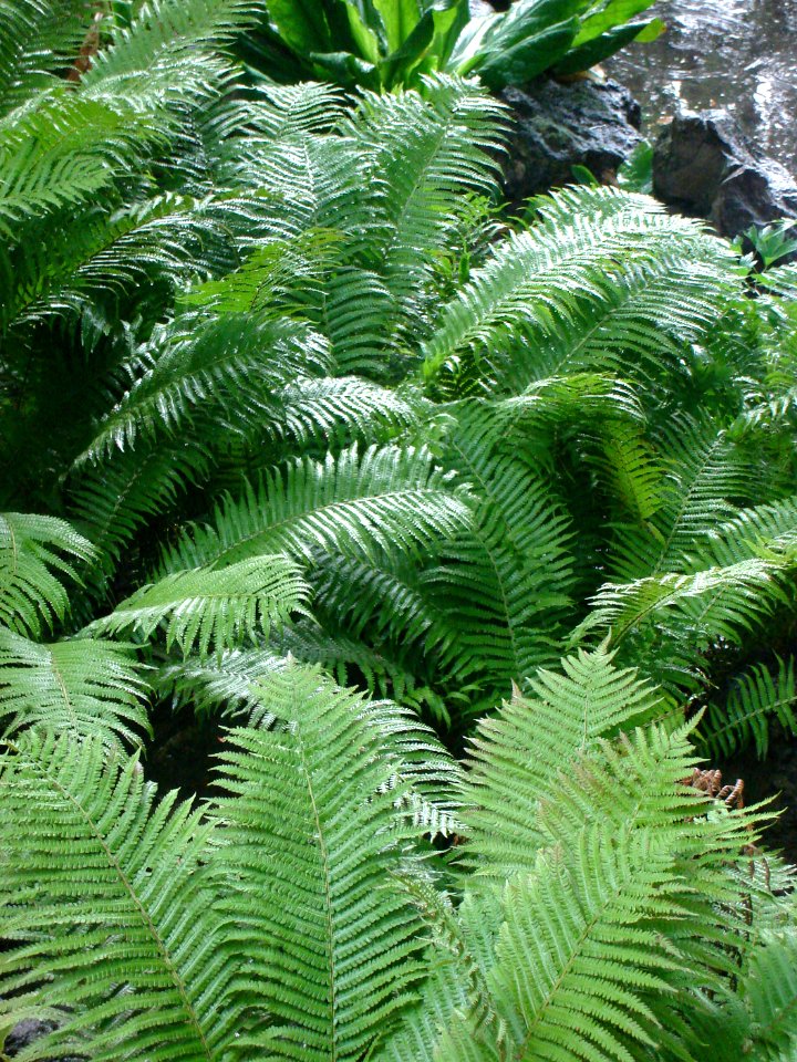 dsc03909.jpg 