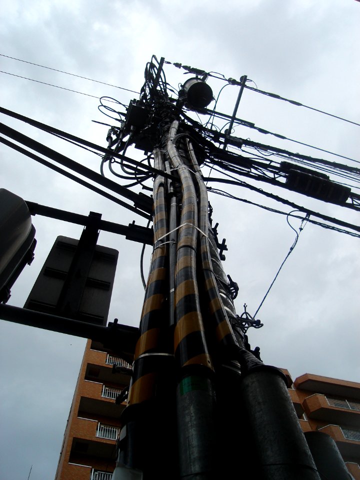 dsc03943.jpg 
