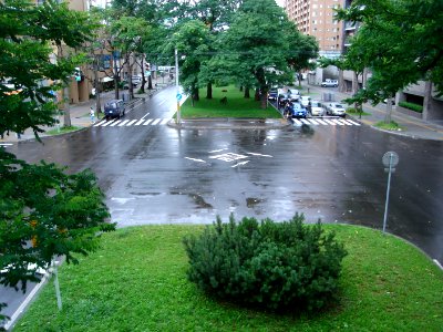 dsc03959.jpg 