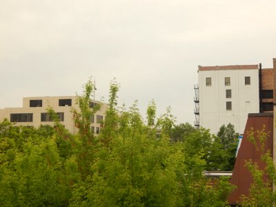 DSCN1895 