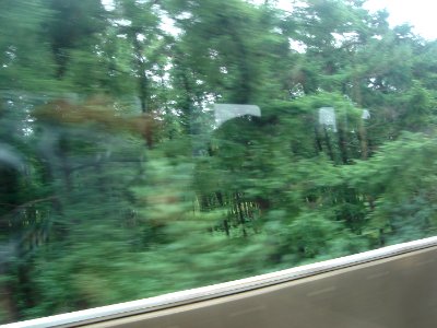 dsc03980.jpg 