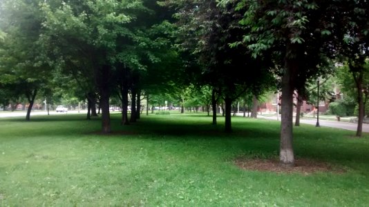 IMG_20160527_110901647 