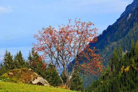Gschnitz tyrol austria