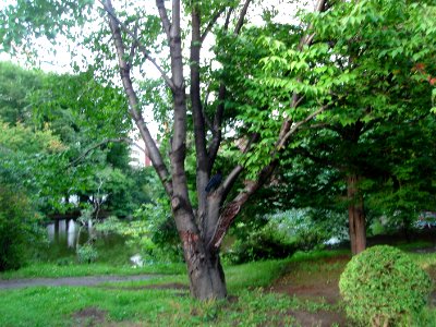 dsc03969.jpg 