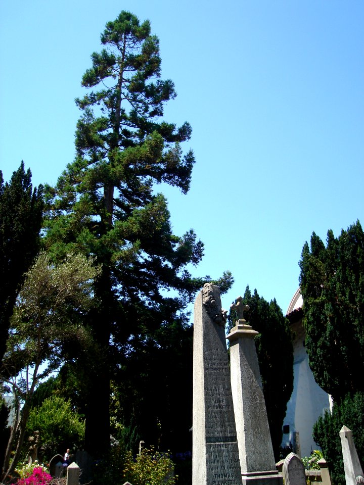 dsc04096.jpg 