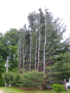DSCN1918 