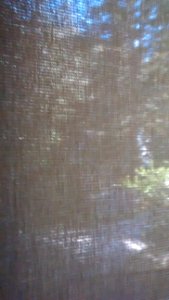 IMG_20180422_083539155 