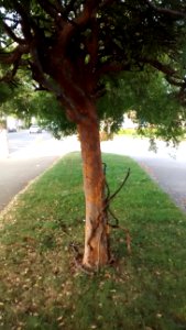 IMG_20180508_191920435 