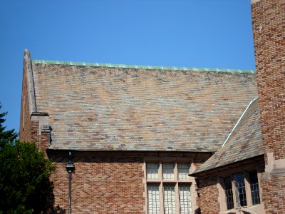 dsc04115.jpg 
