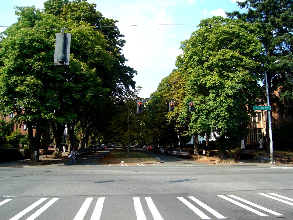 dsc04173.jpg 