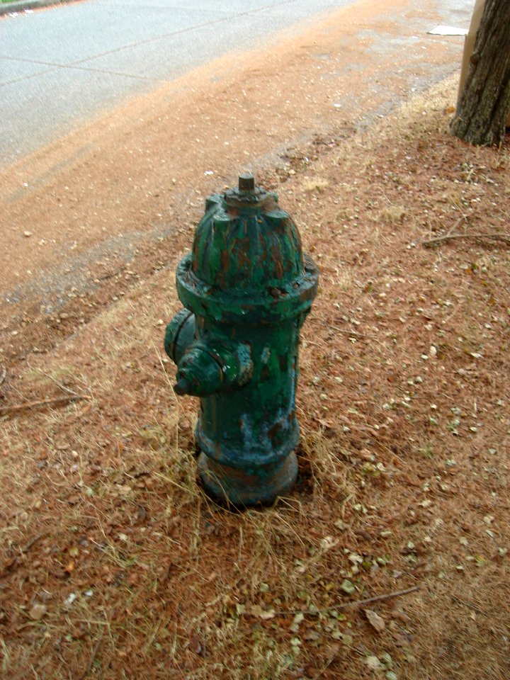 dsc04210.jpg 