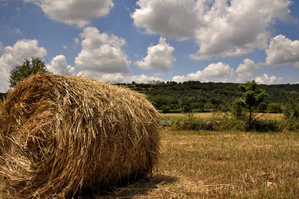 Puglia apulia nature