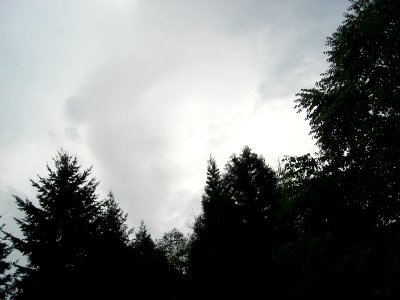 dsc04302.jpg 