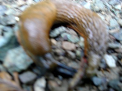 dsc04308.jpg 