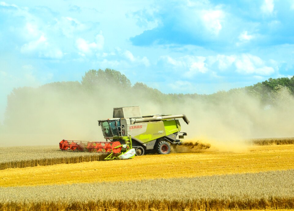 Harvest time dust field