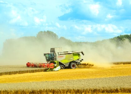 Harvest time dust field