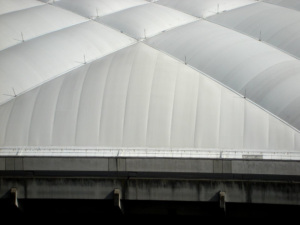 dsc04357.jpg 