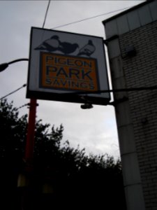 dsc04396.jpg 