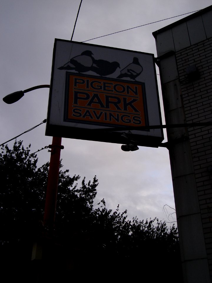 dsc04397.jpg 