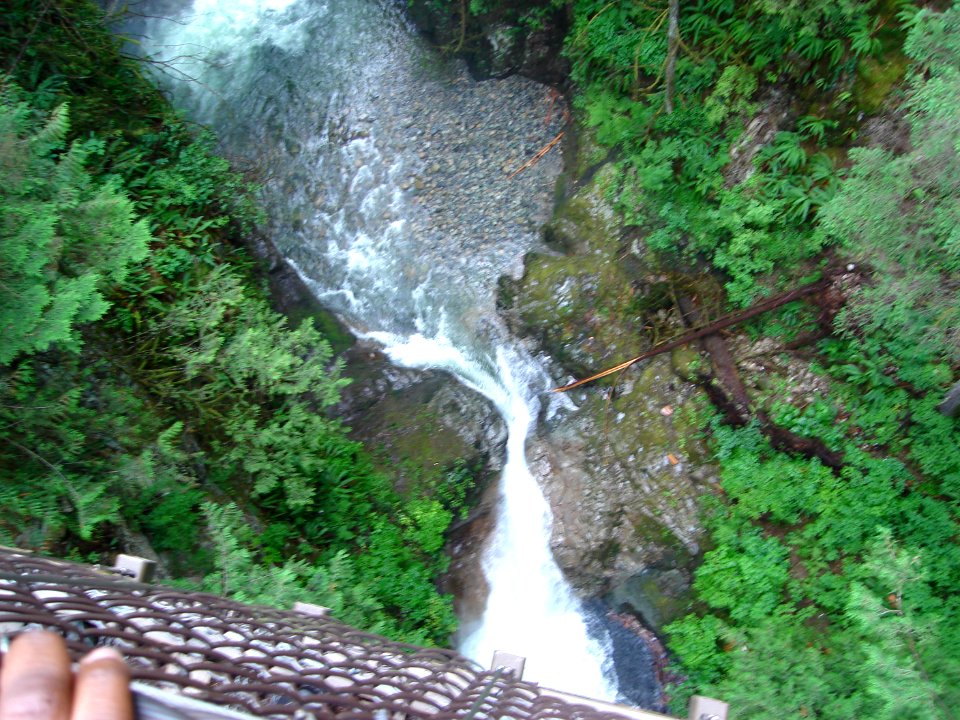 dsc04424.jpg 