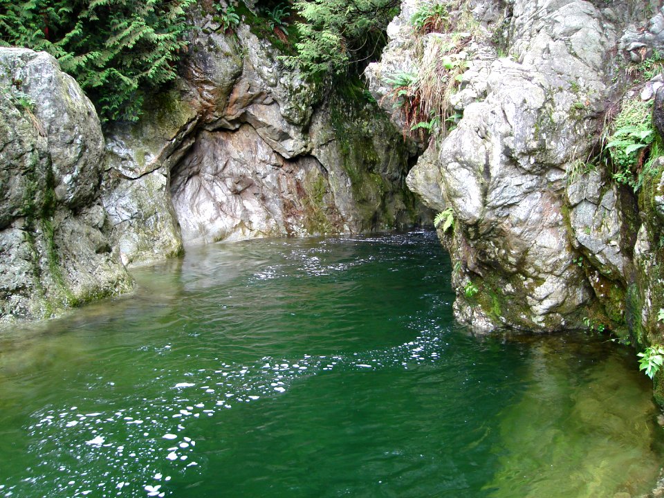 dsc04440.jpg 