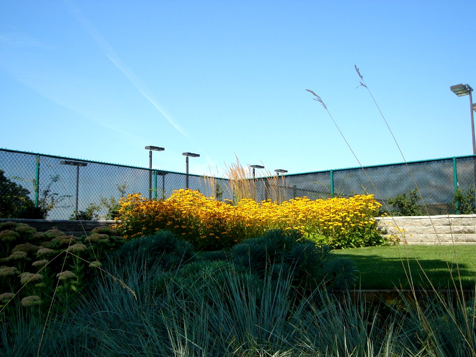 dsc04453.jpg 