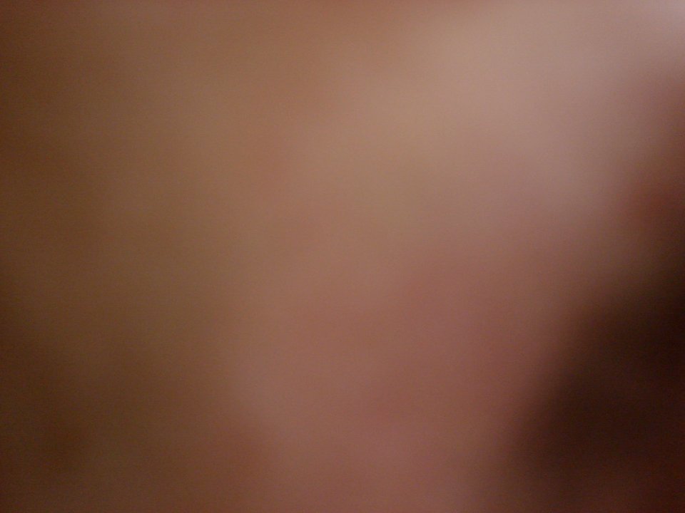 dsc04498.jpg 