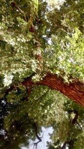 IMG_20160719_185056771 