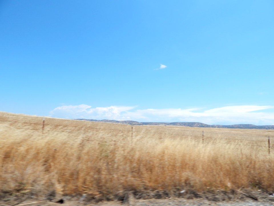 DSCN2161 