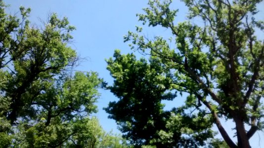 IMG_20160721_122810213 