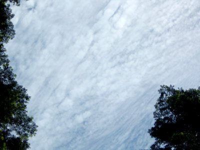 DSCN2121 