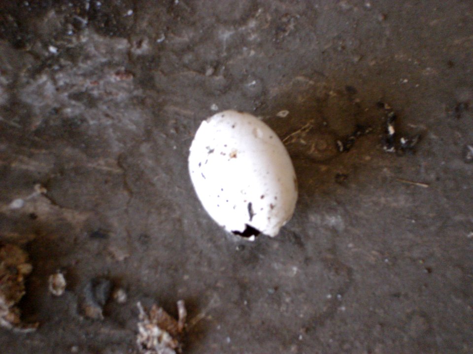 dsc04583.jpg 