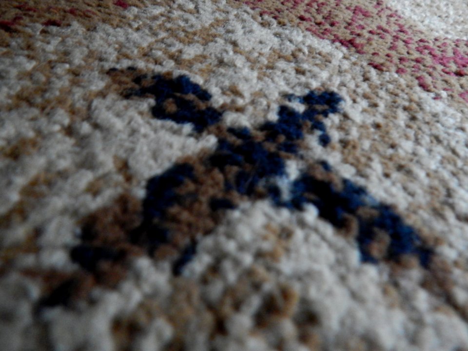 DSCN2144 
