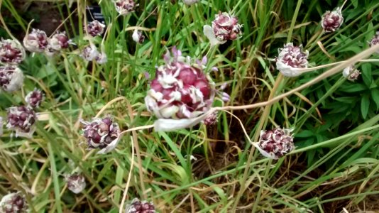 IMG_20160721_172127393 