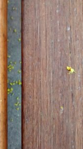 IMG_20160721_190535680 